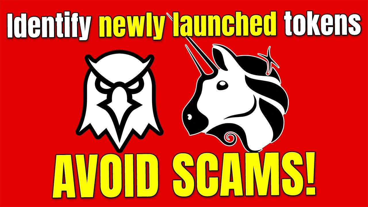Identify Newly Launched Crypto Tokens and Avoid Scams